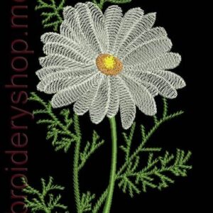 Сhamomile_flw0049