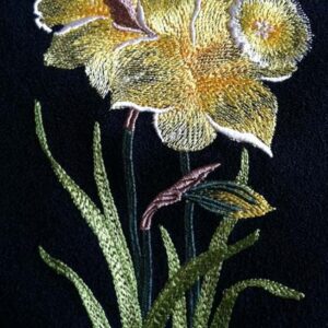 Narcissus_flw0053