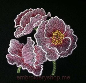 Flowers_flw0054