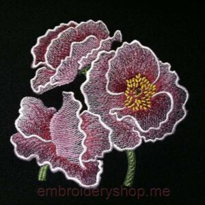 Flowers_flw0054