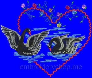 Swans brd0018