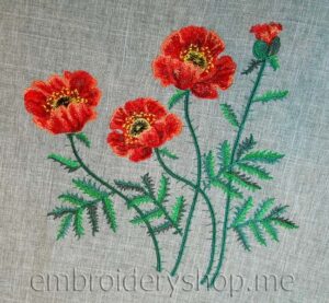 Poppies flw0059