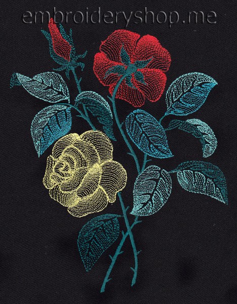 Roses flw0060
