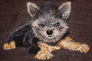Yorkshire Terrier dog0017