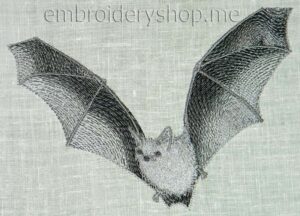 Bat anm0021