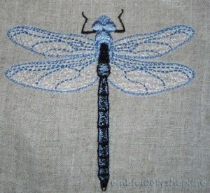 Dragonfly int0007