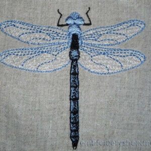 Dragonfly int0007