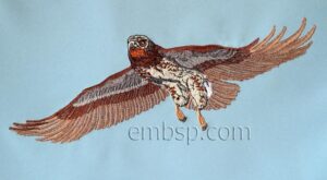 Eagle brd0021