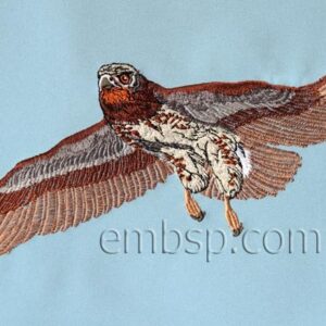 Eagle brd0021
