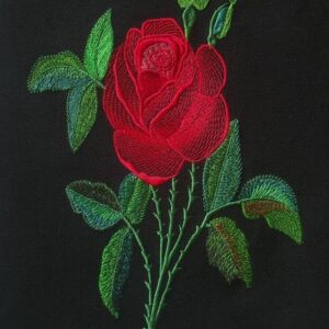 Rose flw0064
