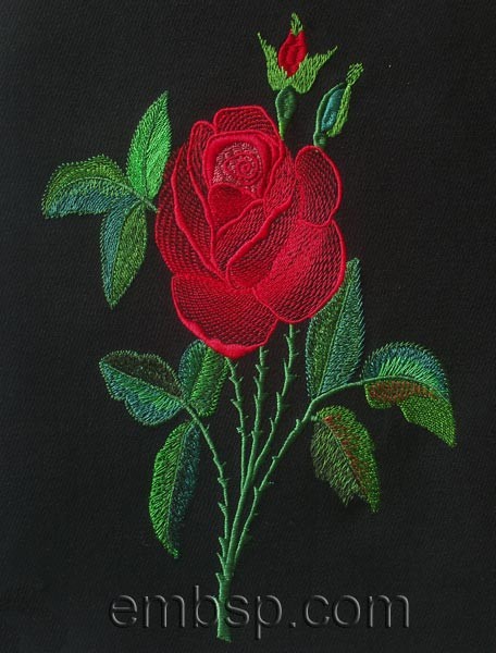 Rose flw0064