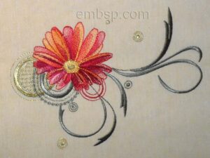 Gerbera flw0067