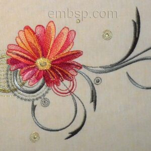Gerbera flw0067