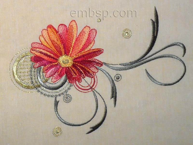 Gerbera flw0067