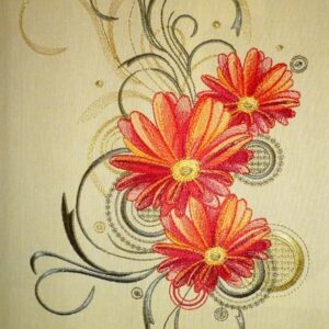 Gerbera flw0066