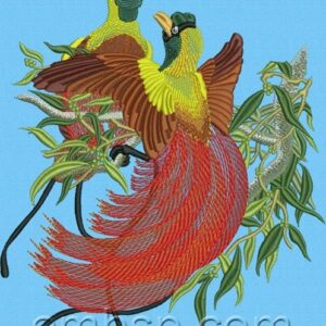 Red Bird of Paradise brd0022