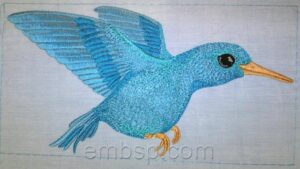 Hummingbird brd0023