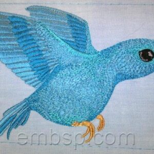 Hummingbird brd0023