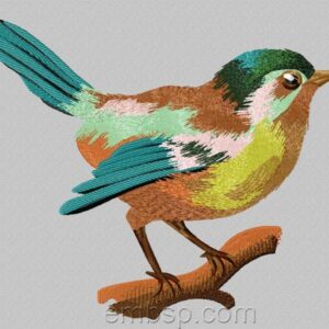 Bird brd0024