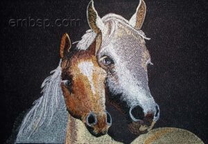 Horses hrs0004