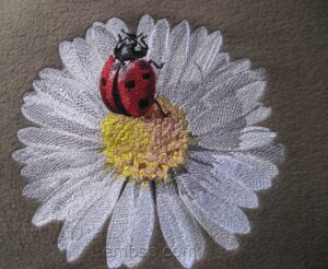 Сhamomile flw0087
