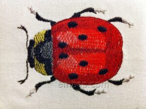 Ladybird int0008