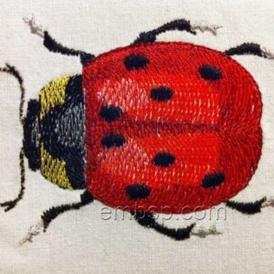 Ladybird int0008