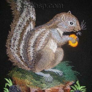 Squirrel from The Tale of Tsar Saltan anm0023