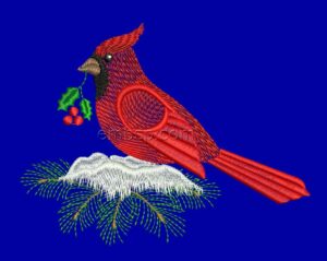 Bird nyr0045