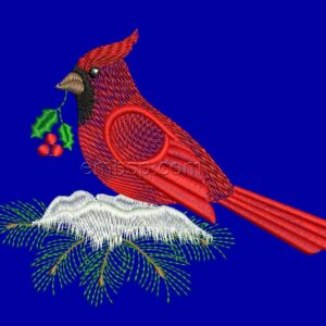 Bird nyr0045