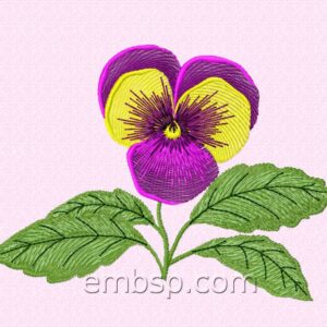Pansy flw0089