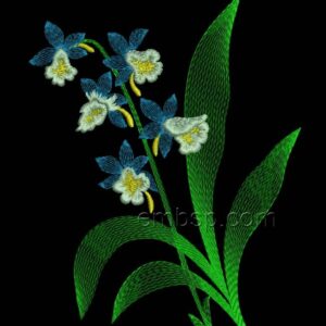 Forget-me-not flw0091