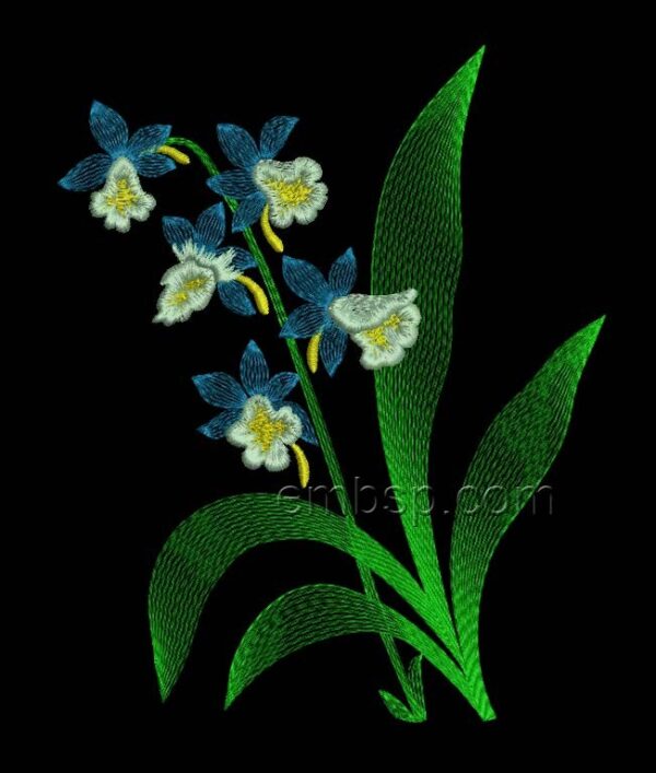 Forget-me-not flw0091