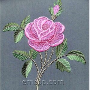 Rose flw0092