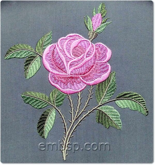 Rose flw0092