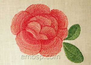Rose flw0093