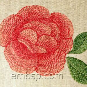 Rose flw0093