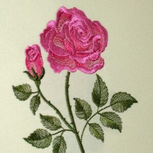 Rose flw0095