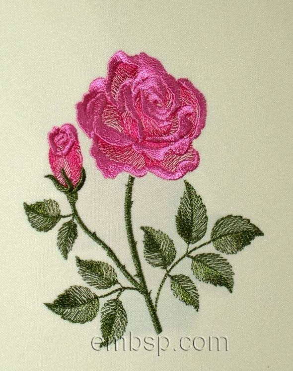 Rose flw0095