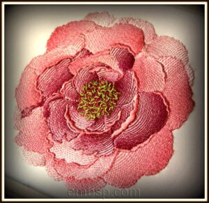 Peony flw0096
