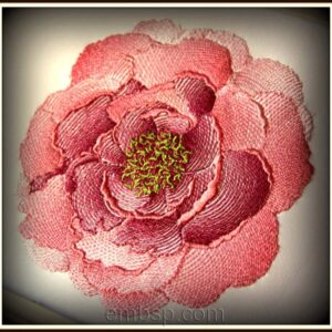 Peony flw0096