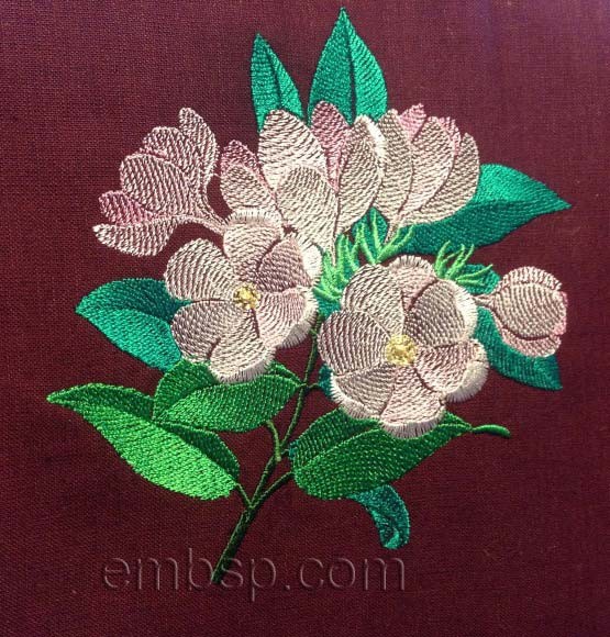 Flowers flw0098