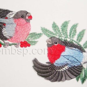 Bullfinches brd0033