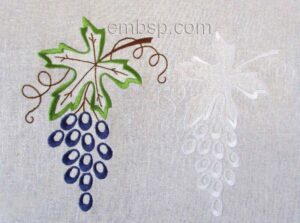 Grapes frt0007