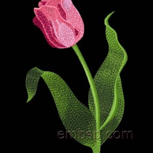 Tulip flw0103