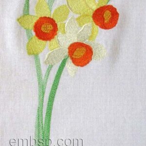 Narcissus flw0105