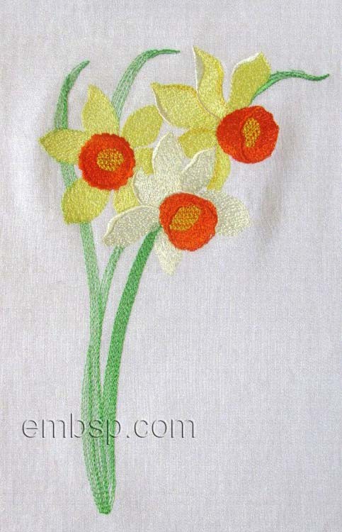 Narcissus flw0105