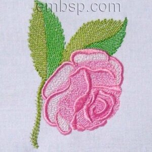 Rose flw0106