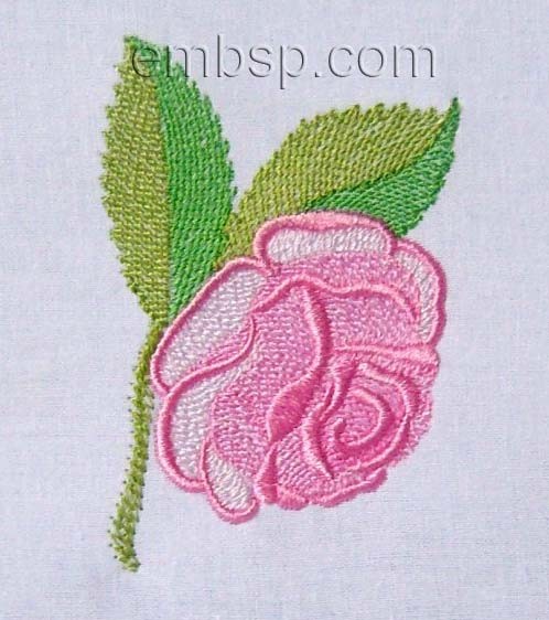 Rose flw0106