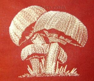 Mushroom Lvs0006